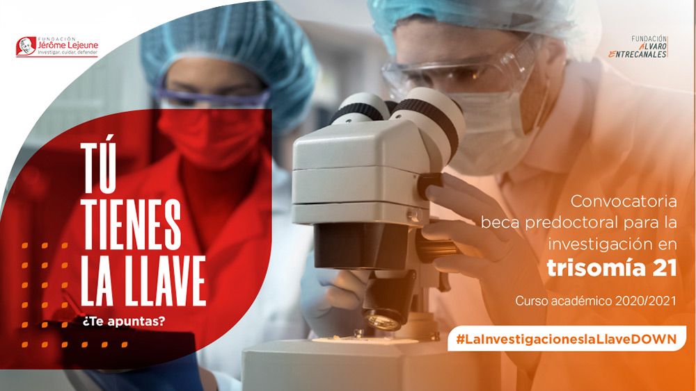 Se buscan investigadores jóvenes