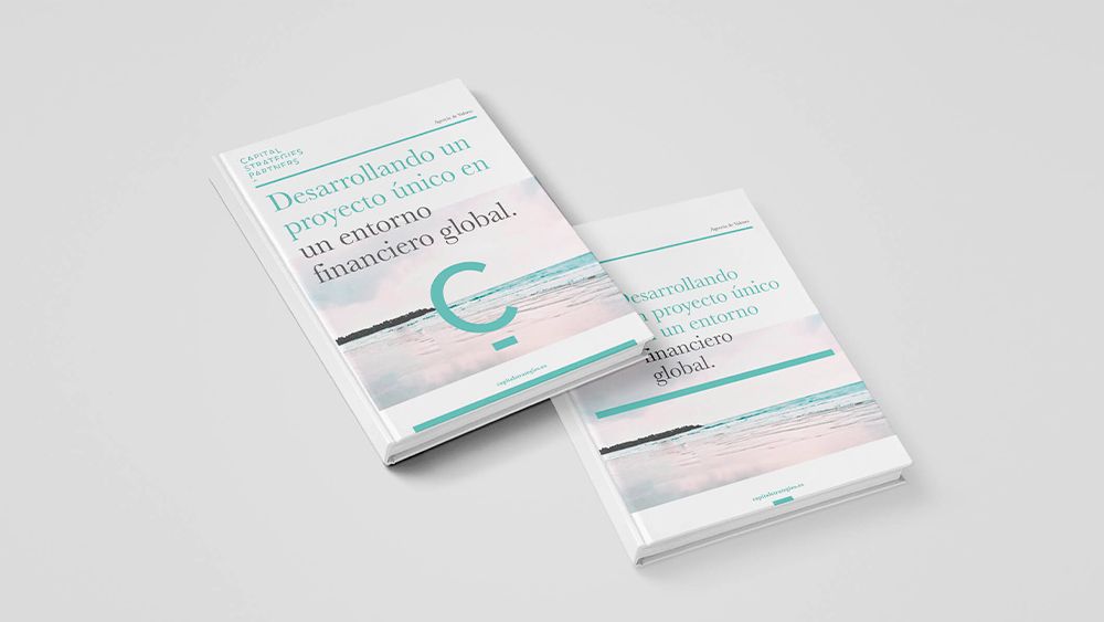 capital strategies partners publicacion