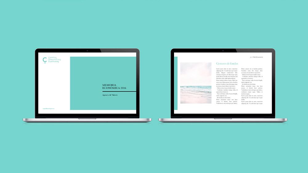 mockup web capital strategies partners