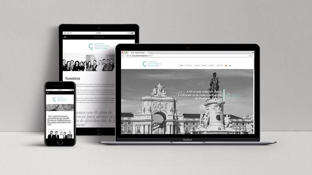 Capital Strategies Partners mockup web