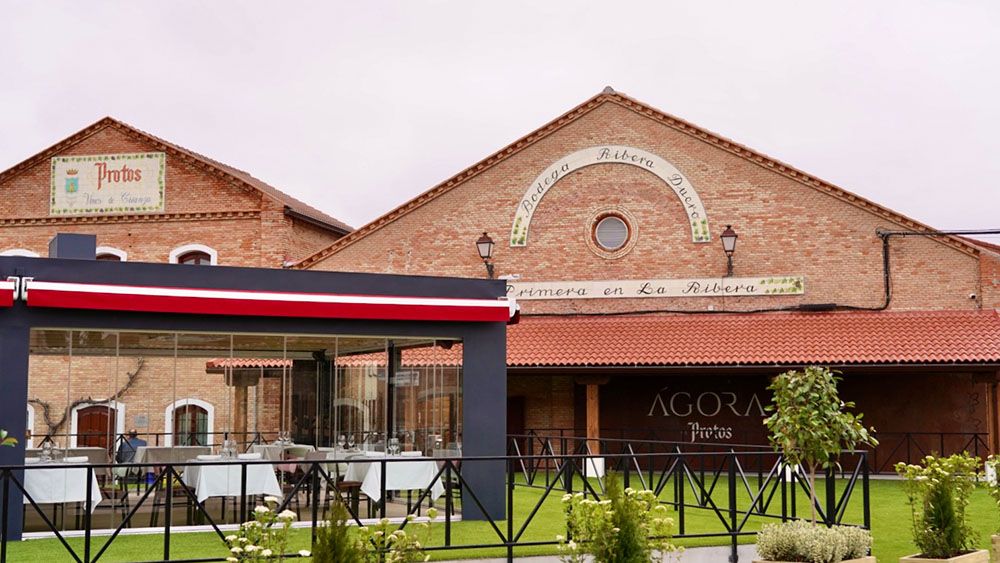 Protos evento bodegas