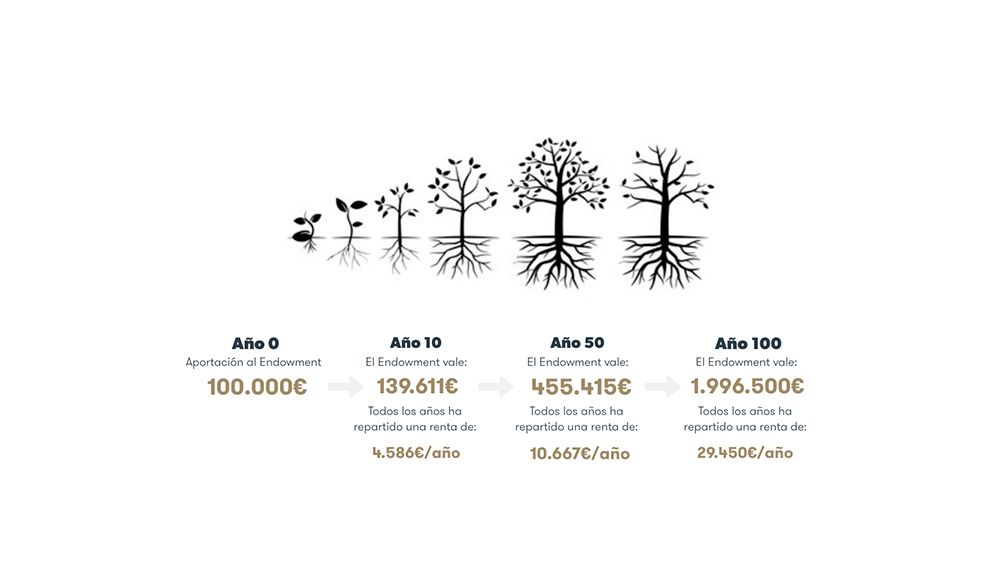 Gestión Fondo Educativo ilustración árboles